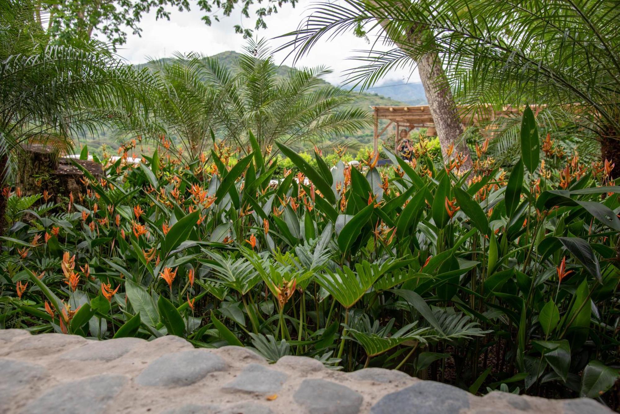Nativa Refugio Escondido Hotel Santa Fe de Antioquia Exterior photo